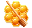 organic Honey